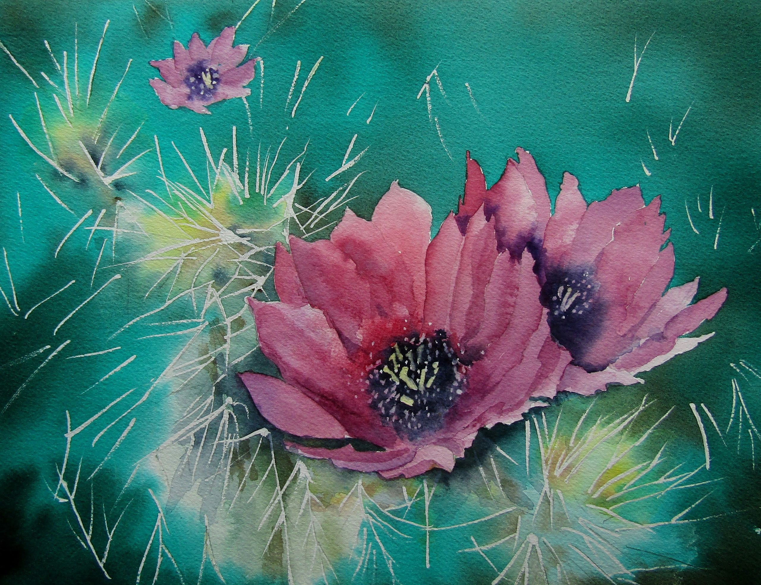 Cactus Flower